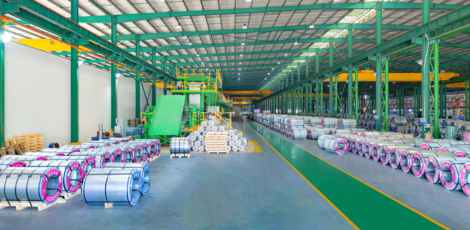 China PPGI PPGL Steel Coil